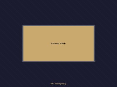 Forest Path
